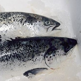 新發(fā)地三文魚案板檢測出新冠病毒，，北京多家超市連夜下架三文魚，北京新增三個病例